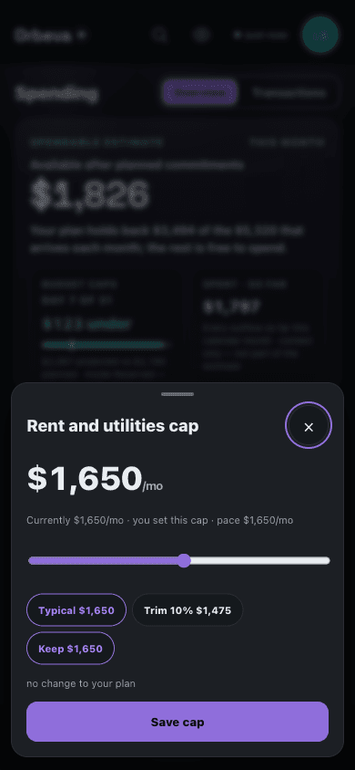 The real Orbeva Finance Budgets in two taps tab